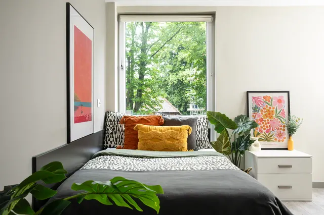 Partly Accessible Ensuite Double room image 1