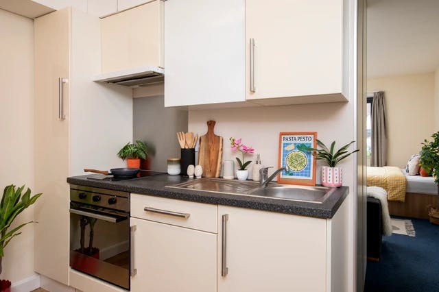 Studio Large Standard Double