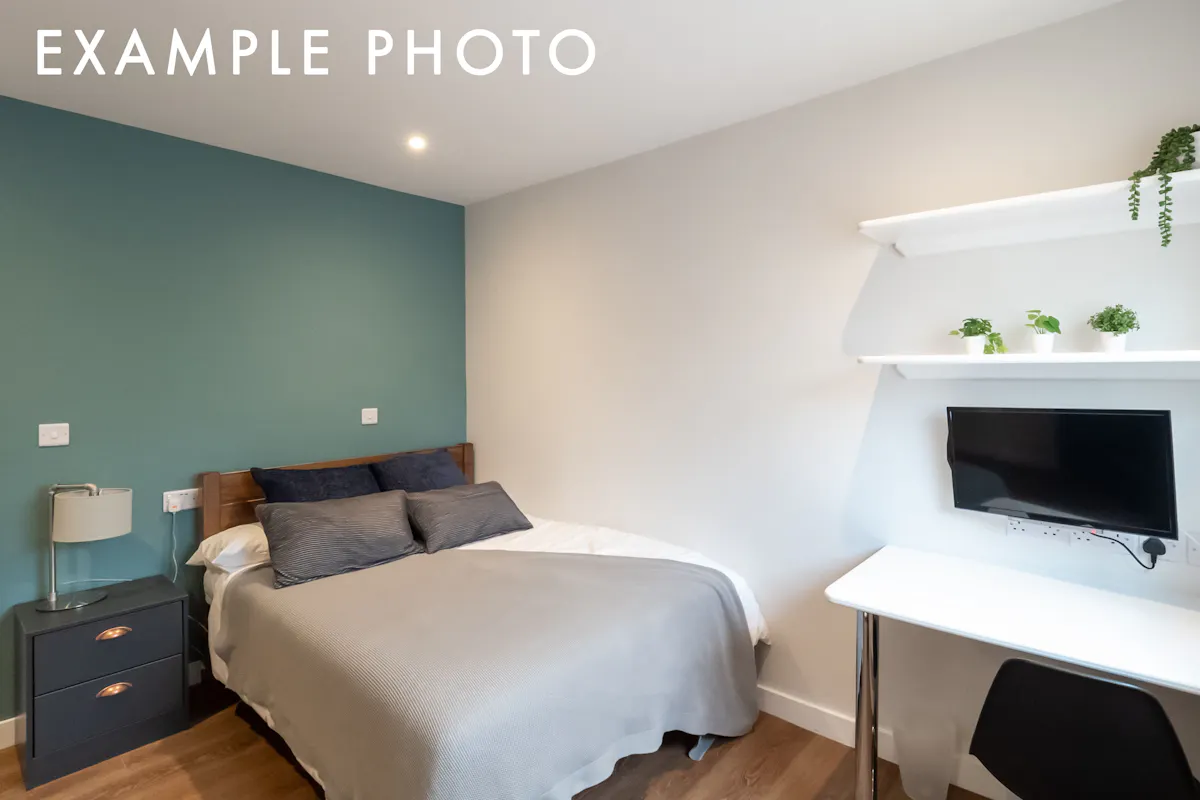 4 Bed Apartment ROOM