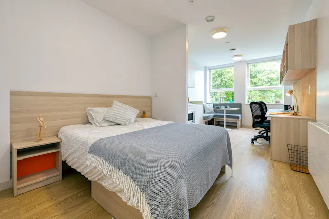 Luxury Plus Studio room image 1