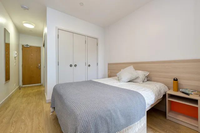 Luxury Plus Studio room image 2