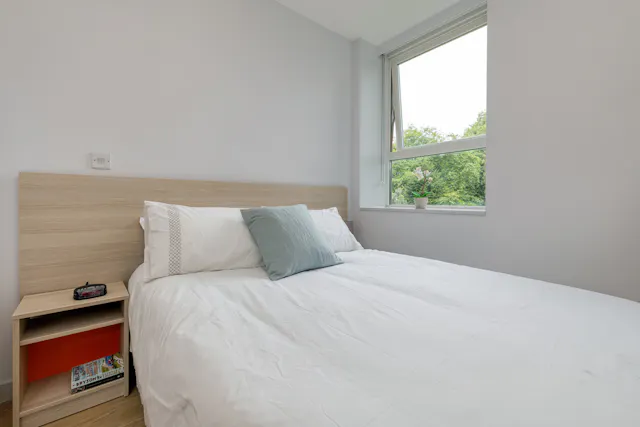 VIP Studio room image 1