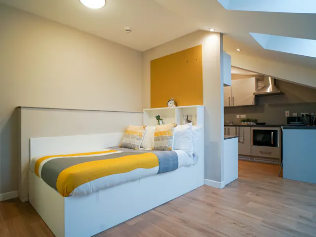 Penthouse Studio room image 1