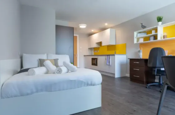 Penthouse Studio (UK Guarantor not required)