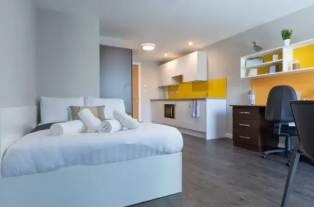 Penthouse Studio (UK Guarantor not required) room image 1