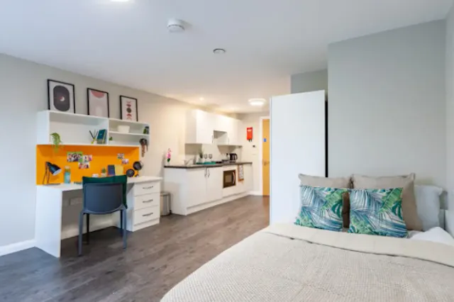 Premier Luxe Studio room image 9
