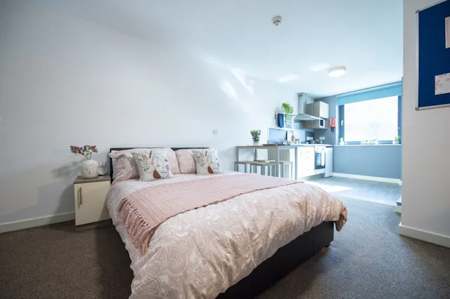 PLUS Superior Double Studio room image 1