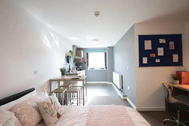 PLUS Superior Double Studio room image 3