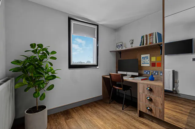Platinum Studio Mid Level room image 3