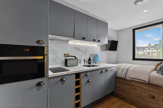 Bronze Studio Penthouse room image 2