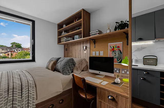 Bronze Studio Penthouse room image 1