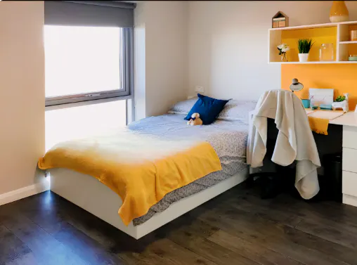 Premier En-Suite - w/ Accessible Bathroom UK Guarantor not required
