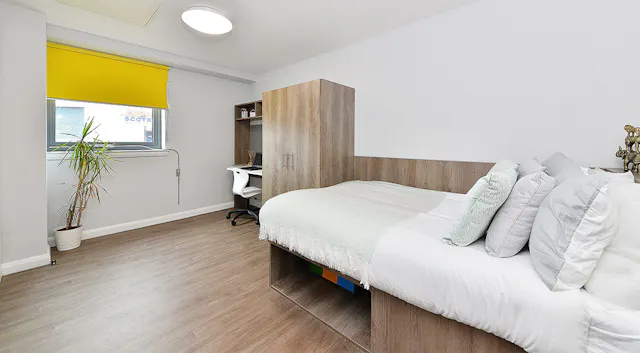 Premier Studio room image 1