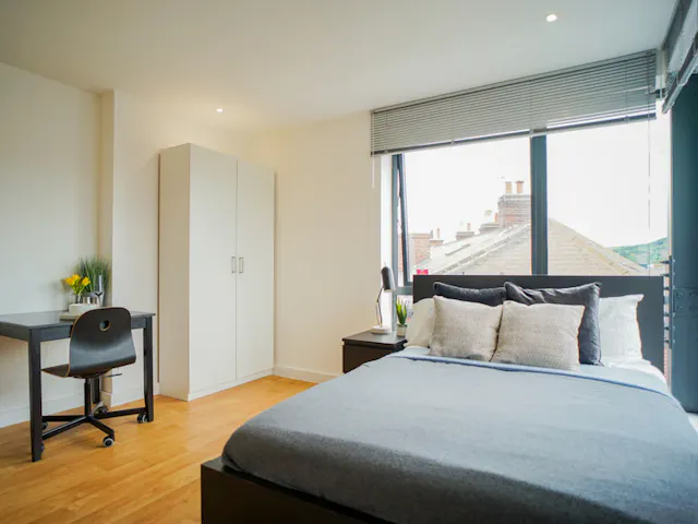 Premier Studio room image 1