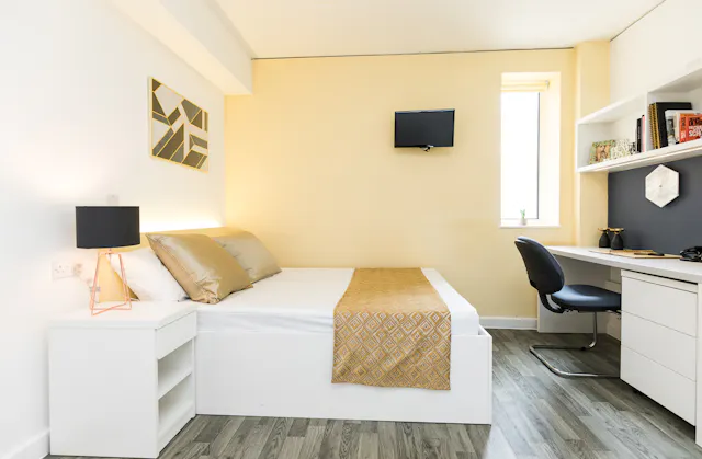 Premium Plus Couple Occupancy room image 1