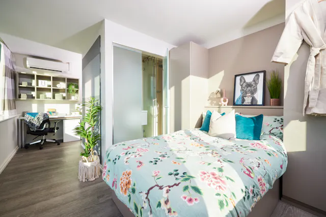 Premium Plus room image 1