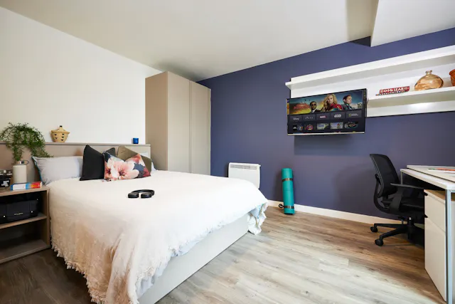 Deluxe room image 1