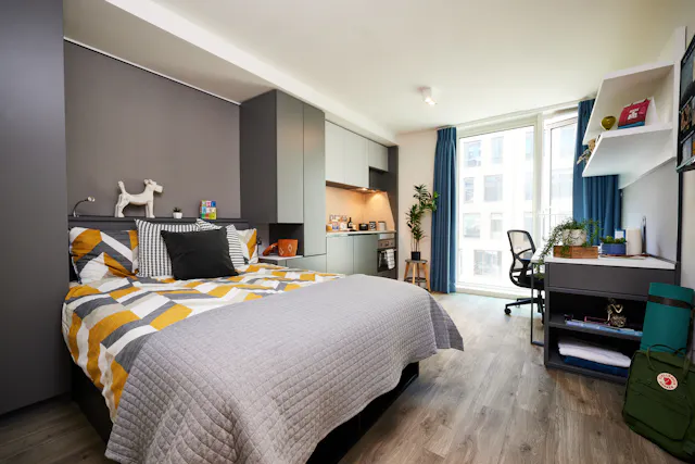 Premium Plus room image 1