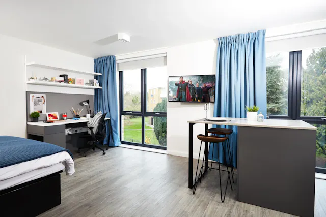 Premium room image 1