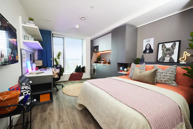 Premium Plus room image 1