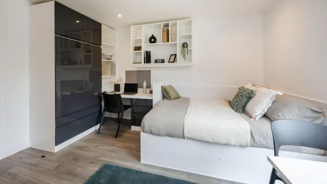 Luxe Plus Studio room image 2