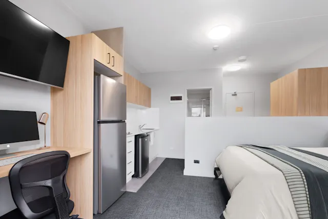 Penthouse Premium Single Studio room image 2