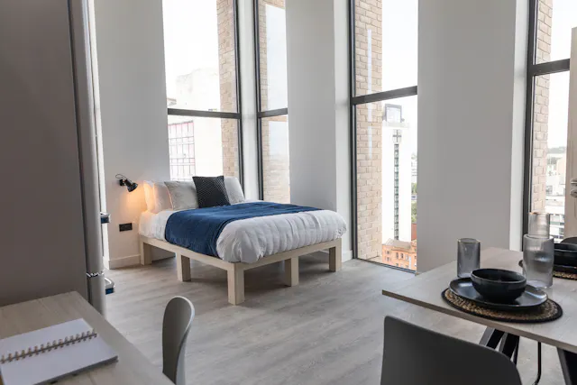 Penthouse Premium Studio room image 2