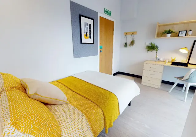 Penthouse Room room image 1