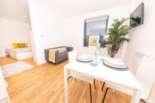 Penthouse Studio room image 2
