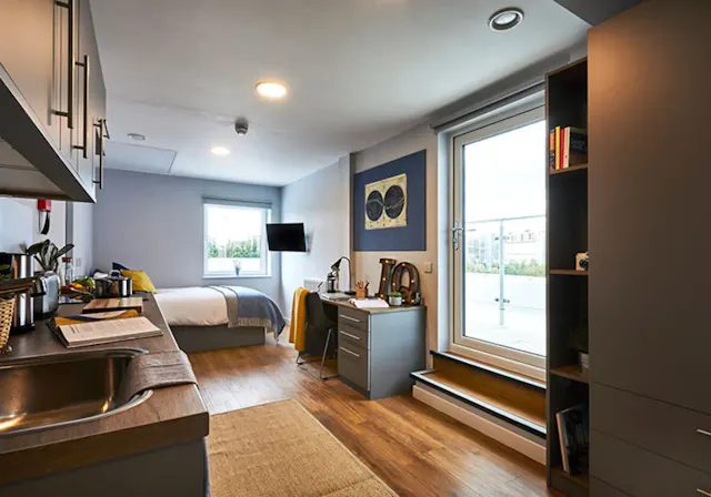 Penthouse Studio Plus room image 1