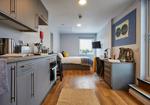 Penthouse Studio Plus room image 2