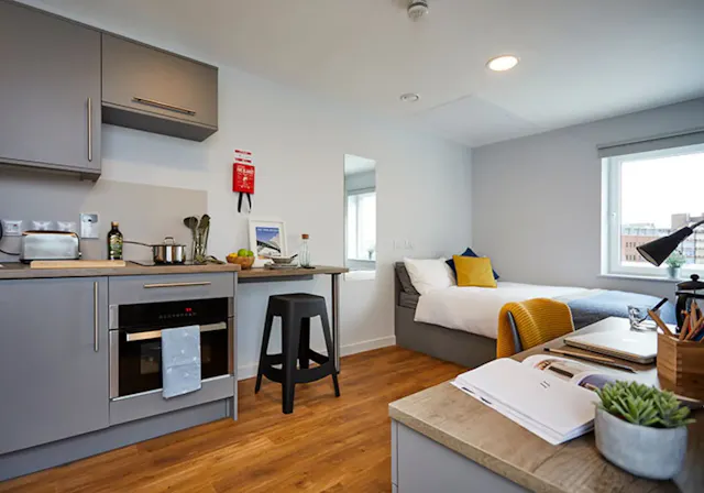 Penthouse Studio Plus room image 3