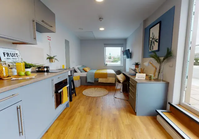 Penthouse Studio room image 2