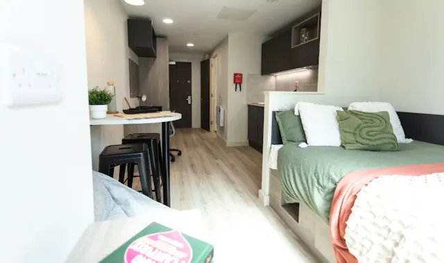 Penthouse Studio room image 2