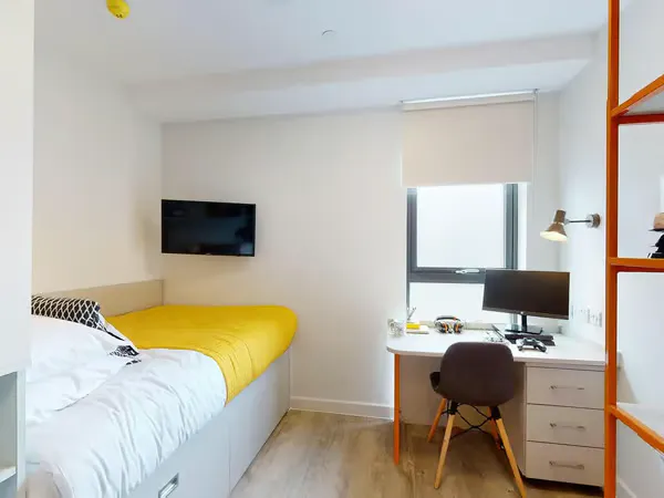 Penthouse Studio