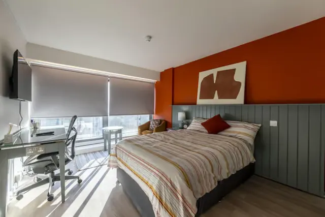 Platinum City View room image 1