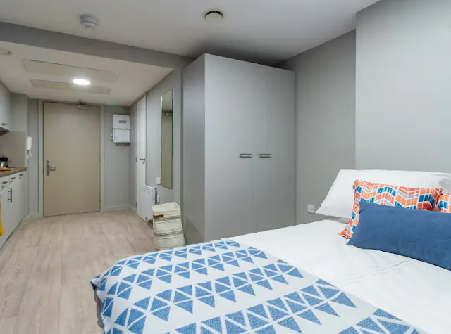 Platinum Deluxe Studio Floors 1-6 room image 1