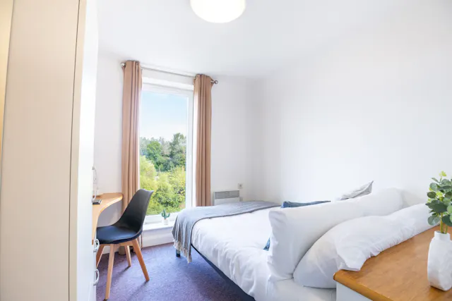Platinum En-Suite room image 1