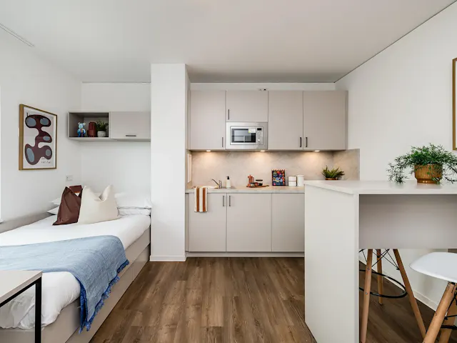 Platinum Penthouse room image 1