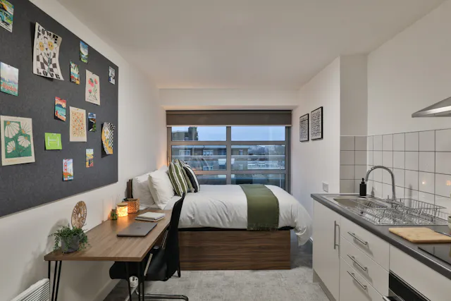 Platinum Penthouse Studio room image 1