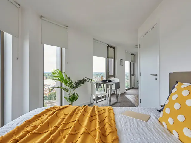 Platinum Penthouse room image 2