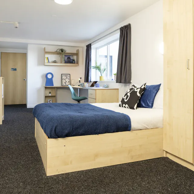 Platinum Plus  room image 1