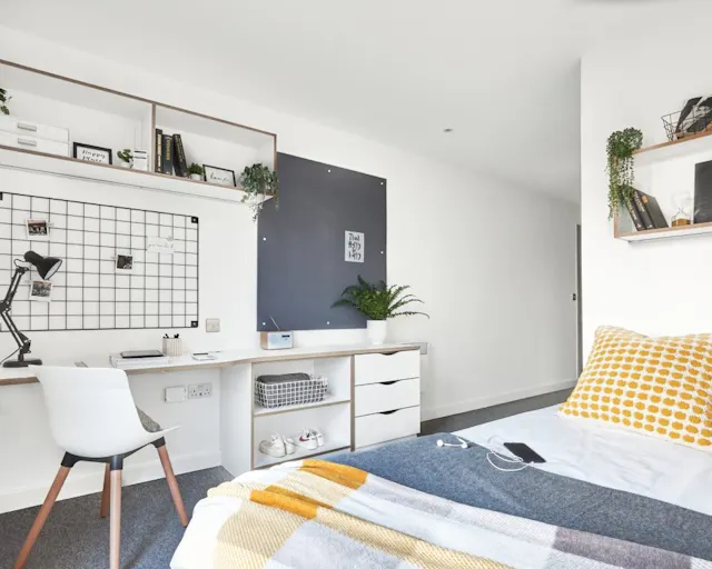 Platinum Plus En-suite room image 1