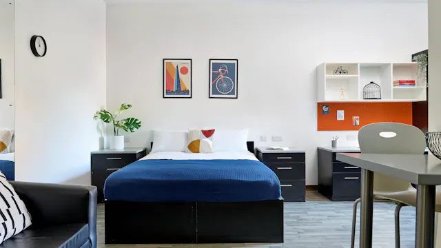 Platinum Plus Studio  room image 1