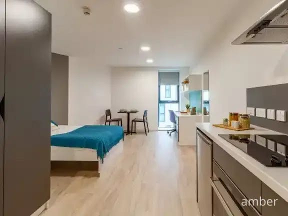 Platinum Plus Studio 