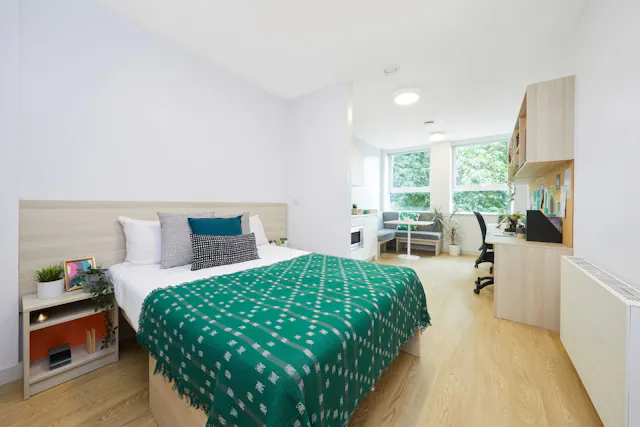 Platinum Plus Studio – Park View room image 2