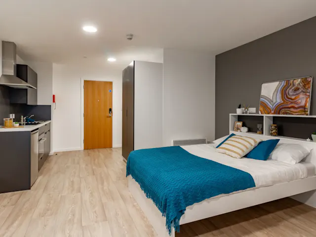 Platinum Plus Studio room image 2