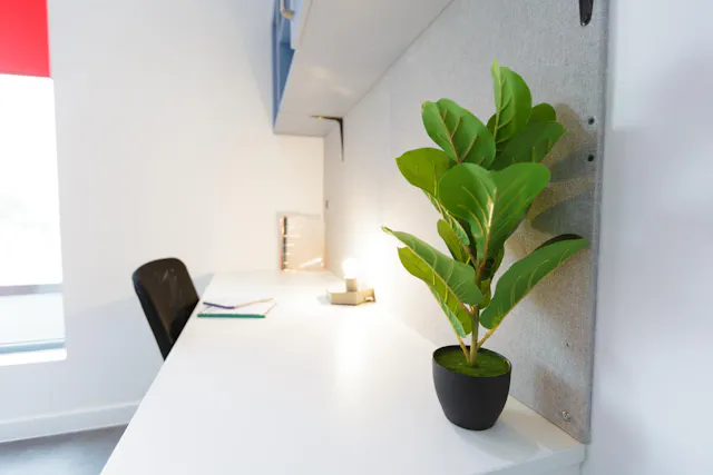 Platinum Studio room image 1