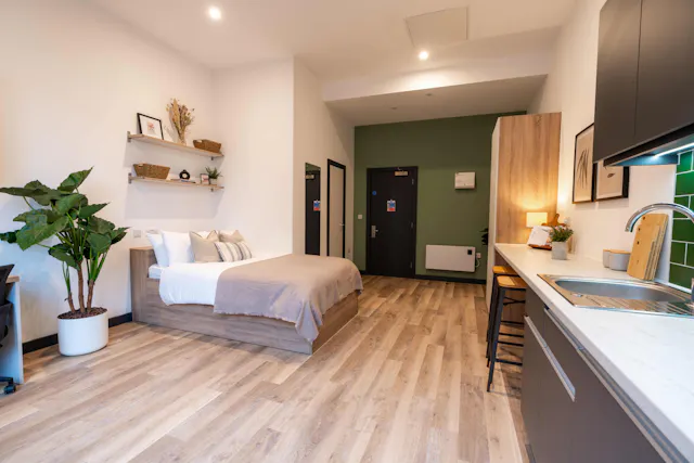 Platinum Studio room image 2