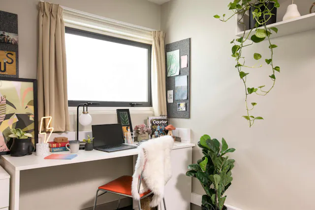 Platinum Studio room image 2